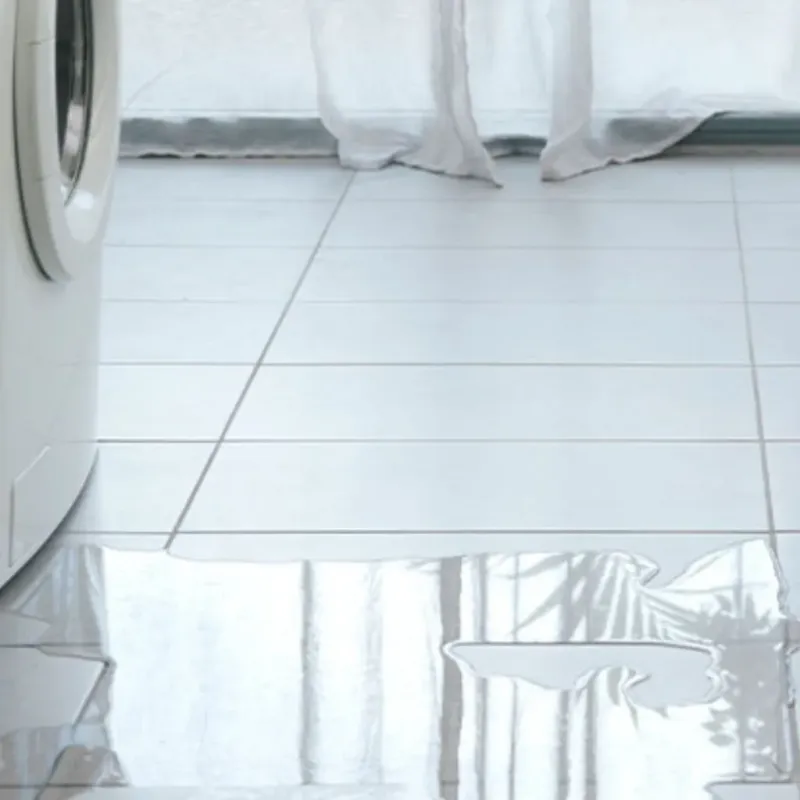 Appliance Leak Cleanup in Maplewood, WA
