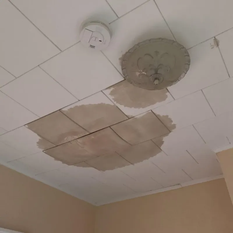 Ceiling Water Damage Repair in Maplewood, WA