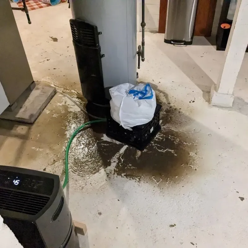 Sewage Backup Cleanup Service in Maplewood, WA